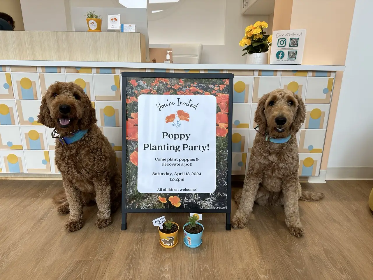 Two golden doodles wearing blue collars sit on either side of a sign promoting a 'Poppy Planting Party' in a bright pediatric dental office with cheerful, colorful decor. The sign invites children to plant poppies and decorate a pot, featuring details for the event on Saturday, April 13, 2024.